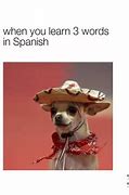 Image result for Memes About Learning Spanish
