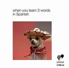 Image result for What Are Some Funny Words in Spanish