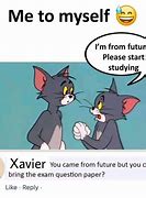 Image result for Xavier Cats Meme