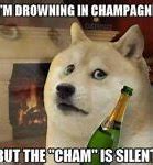 Image result for Doge Pain Meme