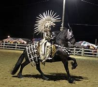 Image result for Horse Show Costumes
