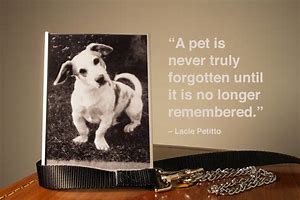 Image result for Shutterfly Loss of Pet Quotes