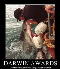 Image result for Funny Darwin Award Meme