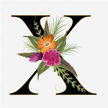 Image result for X Letter with Design