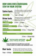 Image result for How Long Does Weed Stay in Your System If You Chug Water