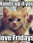Image result for monday v friday cats memes
