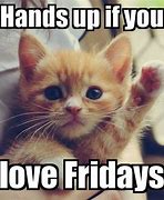 Image result for Happy Friday with Cats Meme