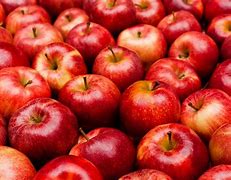 Image result for How About Them Apples