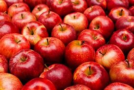 Image result for Apple's Typles