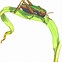 Image result for Cricket Image Png Cartoon