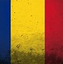 Image result for West Romania Flag