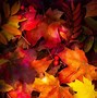 Image result for Autumn Leaves Wallpaper