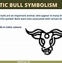 Image result for Celtic Bull Pin