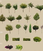Image result for IMVU Tree Texture