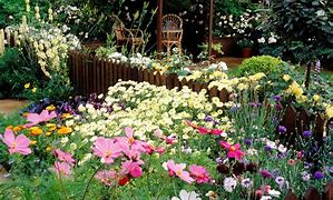 Image result for Cut Flower Garden Design