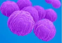 Image result for Chlamydia Mouth