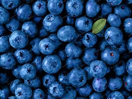 Image result for What Color Is a Blueberry Phone