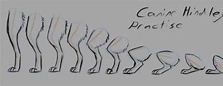 Image result for Crouching Pose Sketches