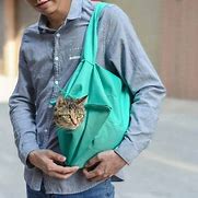 Image result for Carry Case for Two Cats