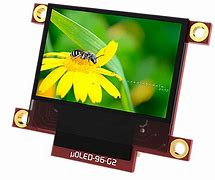 Image result for OLED Screen Module
