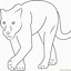 Image result for Baby Black Panther Coloring Pages