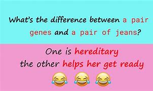 Image result for What's the Difference Between Jokes