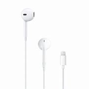 Image result for Gold Apple Headphones