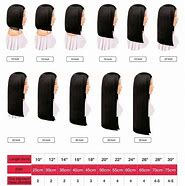 Image result for Hair Length Guide Scetch
