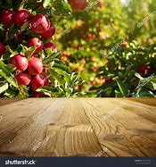 Image result for Fall Apple Background