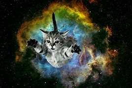 Image result for Rainbow Galaxy Cat