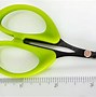 Image result for Small Green Scissors