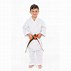 Image result for Karate Clothes