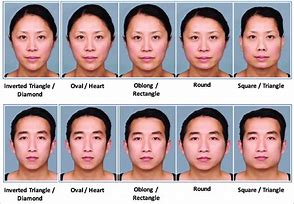 Image result for Different Chin Shapes