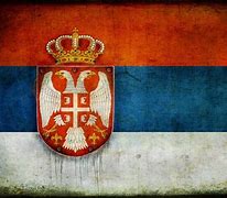 Image result for Serbisk Flag