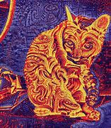 Image result for Trippy Cat Wallpaper Desktop HD