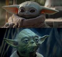 Image result for Old Yoda Meme