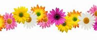 Image result for Spring Page Borders Free