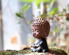 Image result for Little Buddha Wallpaper
