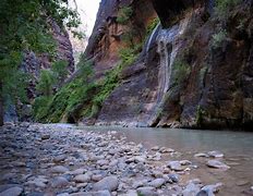 Image result for co_oznacza_zion_narrows