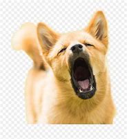 Image result for Barking Dog Emoji