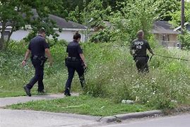 Image result for Japanese Village Shooting Suspect