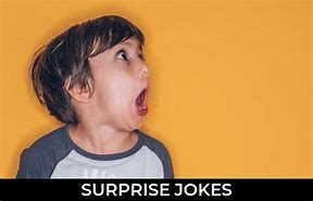 Image result for Surprised Images Funny