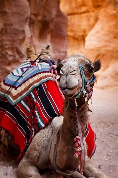 砂漠の船！かわいい世界のラクダと民族衣装の人々【モンゴルからアフリカ】 - NAVER まとめ