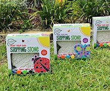 Image result for Creative Roots Stepping Stone