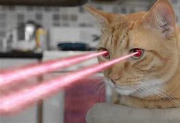 Image result for Cat Laser Toy