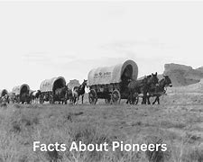 Image result for Pioneer Definition