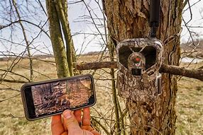 Image result for Locking a CGame Camera to a Tree