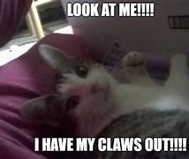 Image result for Threating Cat Meme