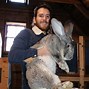 Image result for Really Fat Bunny