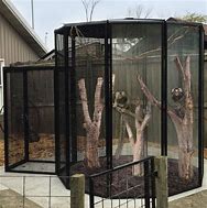 Image result for Zoo Cage